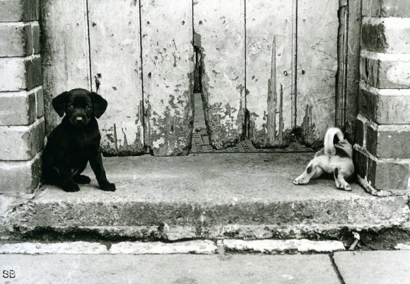 The Street photographs © Shirley Baker