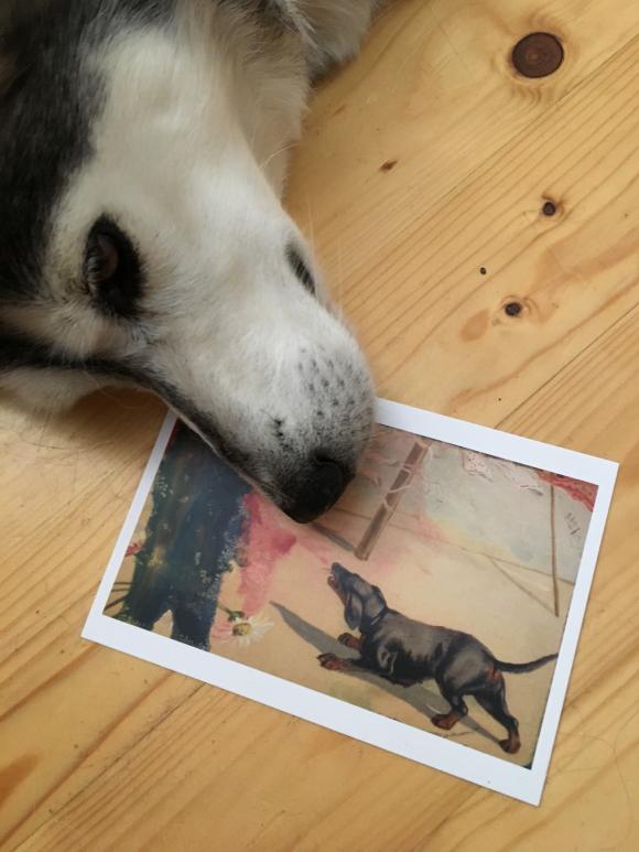 Hedy mit Postkarte, Foto Petra Hartl