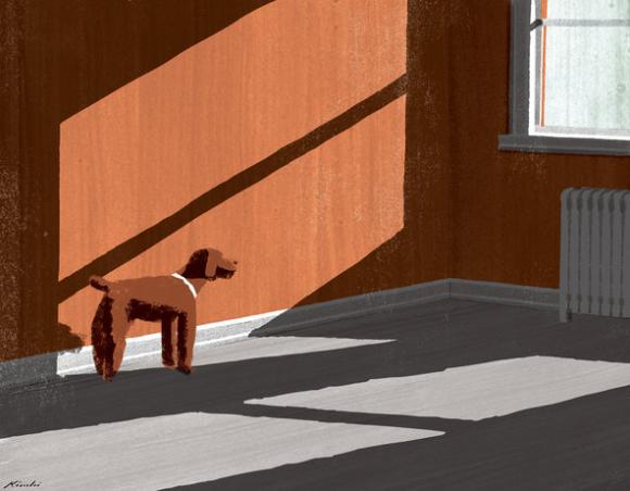 A Dog's Grace © Tatsuro Kiuchi