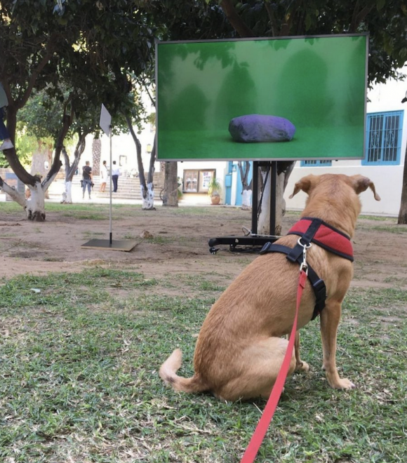 Standing Still, Installationsansicht Framing Movements, 2021, Tel Aviv 