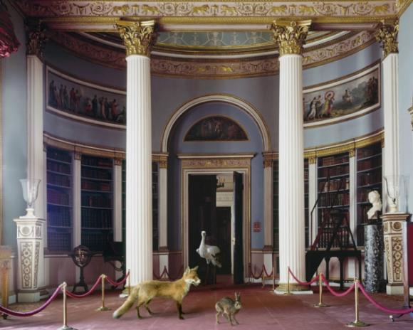 Karen Knorr, The Library II