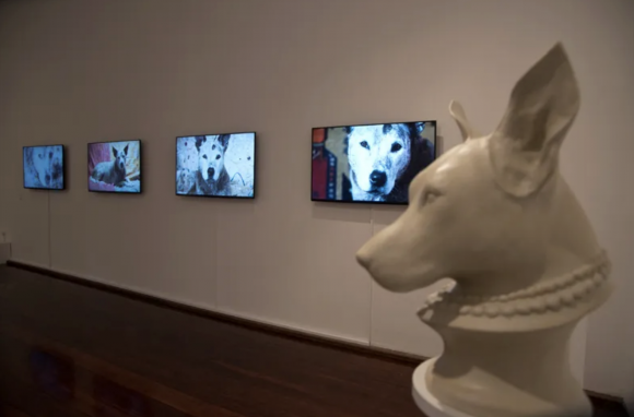 The Dog's Artist © Susan Flavell