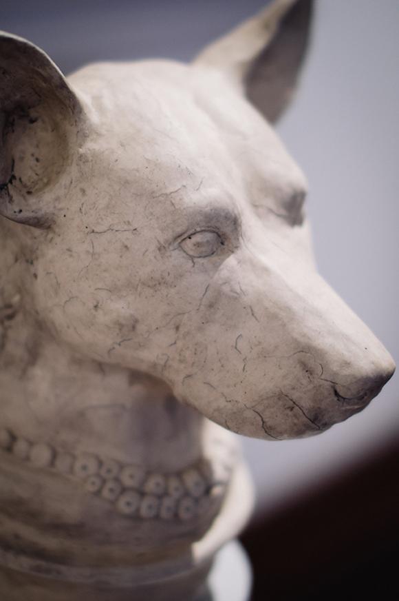 The Dog's Artist © Susan Flavell