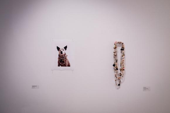 The Dog's Artist © Susan Flavell