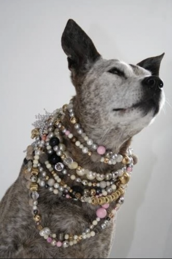 The Dog's Artist © Susan Flavell