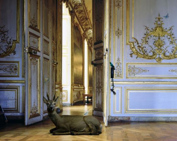 Karen Knorr: The Music Room