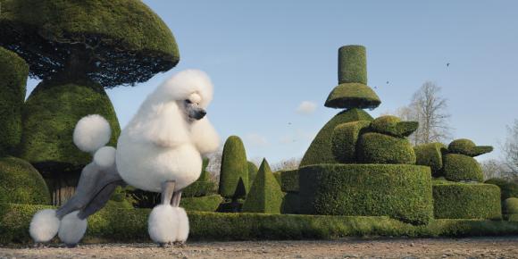 Topiary © Tim Flach