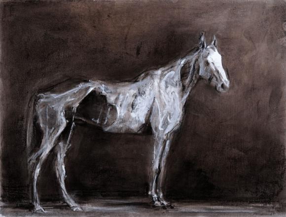 Untitled (After George Stubbs), 2010 © Miguel Branco