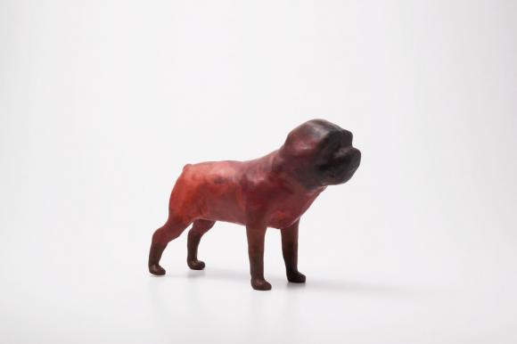 o.T. (Brown Dog), 2005 © Miguel Branco