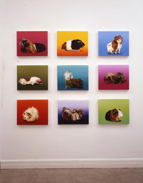 Cornelius Völker: Meerschweinchen Ausstellungsansicht sieshoke galerie düsseldorf