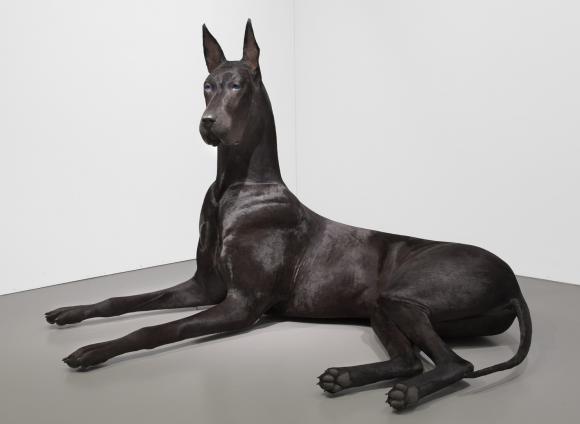 Peter Coffin, Untitled (Dog), 2012 © Peter Coffin, Photo Cathy Carver