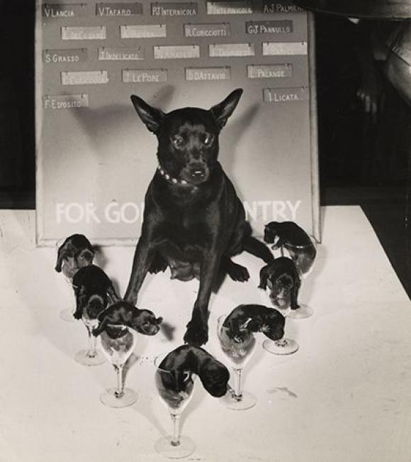 Weegee, 2.8.1942