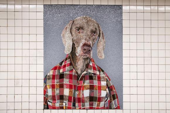 Stationary Figures (2018) © William Wegman, NYC Transit 23 St station. Commissio