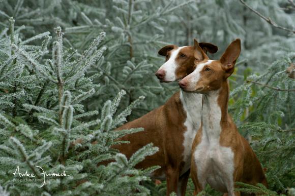 Winter 2011 © Anke Jurrack