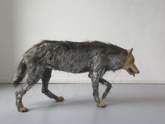 Wolf, 2016 © Irmela Maier