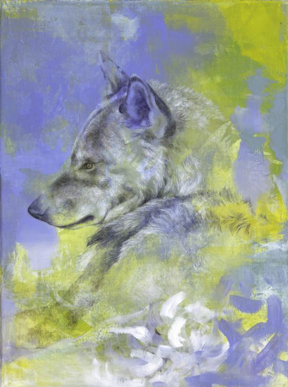 Wolf (blaugelb), 2019 © Isabelle Dutoit