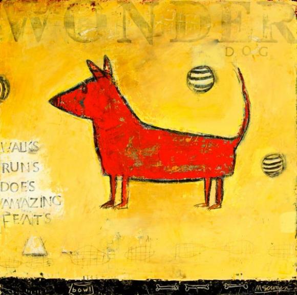 Wonder Dog © Mary Scrimgeour