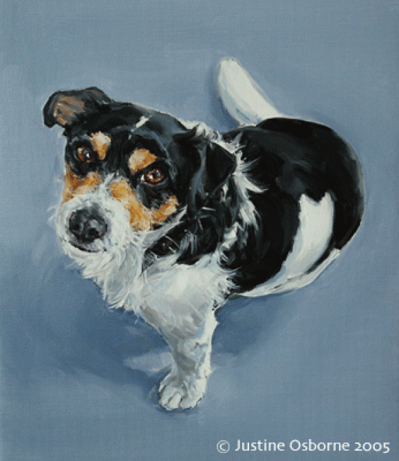 Justine Osborne, Zeb, Jack Russel Terrier