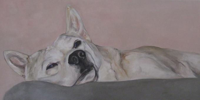 Rocco 3